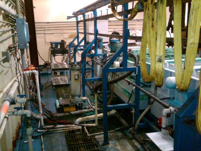 Technic Nickel-GOLD Deep Well Plating Line, Machine ID: 5544